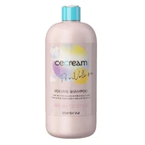 Шампунь Inebrya Ice Cream Pro-Volume Shampoo, 1000 мл