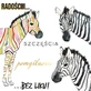 Карта ZEBRA KW