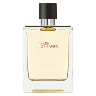 Туалетные принадлежности Hermes Terre D Hermes, 100 мл
