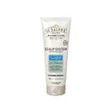 Шампунь против перхоти Scalp System Il Salone, 250 мл, Alfaparf