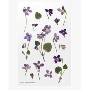 Стикеры декоративные cu flori Violet