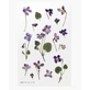 Стикеры декоративные cu flori Violet
