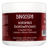 Bingospa, грязевой спа-рассол с маслом ши и грязью Мертвого моря, 600 г