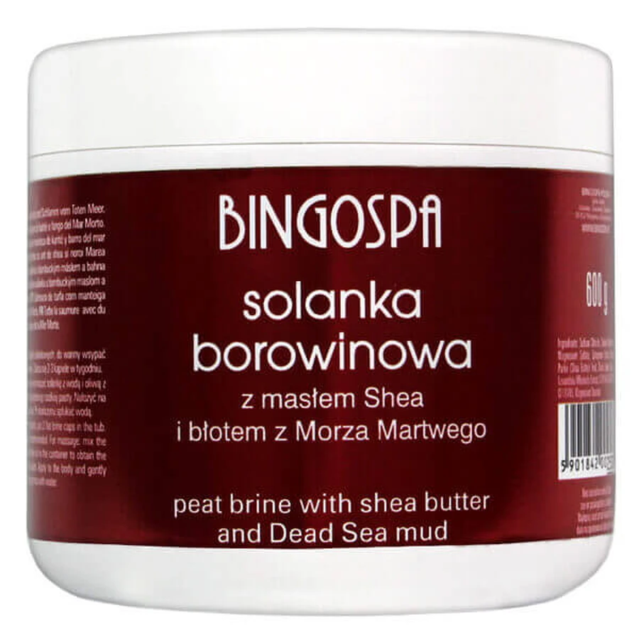 Bingospa, грязевой спа-рассол с маслом ши и грязью Мертвого моря, 600 г: цены и характеристики