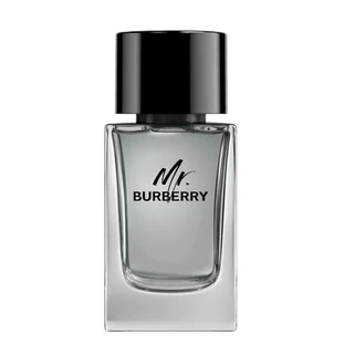 Туалетная вода Burberry Mr. Burberry, 100 мл