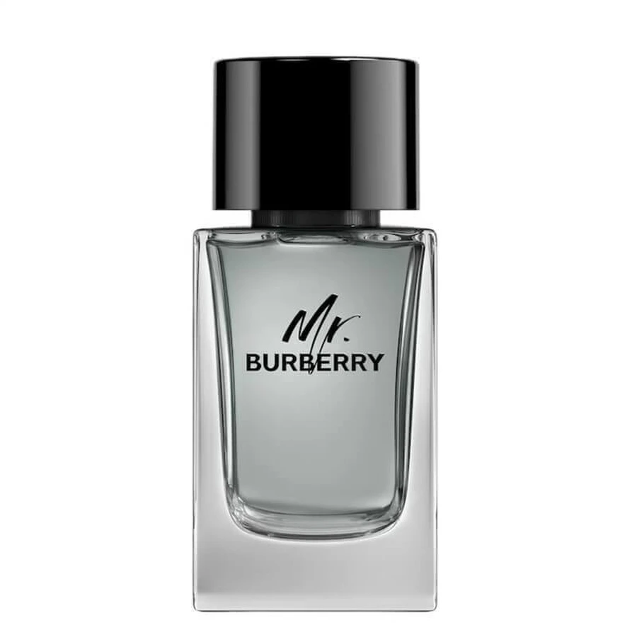 Туалетная вода Burberry Mr. Burberry, 100 мл: цены и характеристики