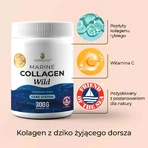 BetterMe Colagen marin sălbatic, аромат нейтральный, 300 г: цены и характеристики