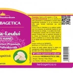 Herbagetica Lion's Mane Лев'яча грива 60cps: ціни та характеристики