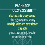 Зволожуючий шампунь Duetus For Men Power Of Invictus, 300 мл: ціни та характеристики