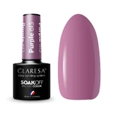 Фіолетовий гібридний лак для нігтів Claresa Soak Off UV/LED 613, 5 г
