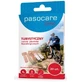 Пластыри, дорожный набор A Pasocare, 20 штук
