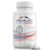 Viscalgic MSM, 120 капсул, Novatex Bioengineering