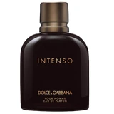 Парфумована вода Dolce & Gabbana Intenso Pour Homme, 125 мл