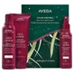 Легкий шампунь Aveda Color Control Set, 200 мл + кондиціонер, 200 мл + незмивний кондиціонер, 150 мл