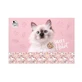 Обкладинка Derform Cleo and Frank 45 Cat