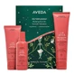 Aveda Nutriplenish Set: шампунь, 100 мл + кондиционер, 100 мл + несмываемый кондиционер, 150 мл