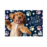 Derform Cleo и Frank 44 Dog Cover