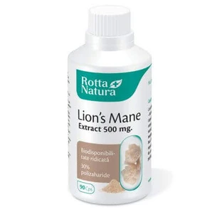 Львиная грива, 500 мг, 90 капсул, Rotta Natura