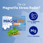 MagneVie Стресостійкість з ашвагандою 80 мг + 60 мг магнію + 1,4 мг вітаміну В6, нервова система та стійкість до стресу, 4х30 таблеток: ціни та характеристики