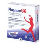 Магнум B6, 20 пакетиков, Sun Wave Pharma