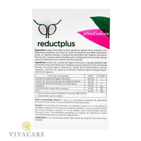 ReductPlus, 90 капсул, Vitacare: ціни та характеристики