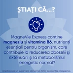 МагнеВі Експрес Sanofi MagneVie Express, 2 упаковки по 20 пакетиків: ціни та характеристики