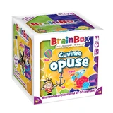 Обучающая игра - Противоположные слова, 4 года+, Brainbox