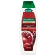 Palmolive, Brilliant Color, шампунь, 350 мл