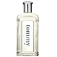 Tommy Hilfiger Туалетная вода Tommy Boy, 100 мл