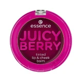 Бальзам для губ та щік Juicy Berry, Фіалка, 3 г, Essence