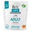 Brit Care Dog Grain-free Adult Small and Medium Salmon - Сухий беззерновий корм з лососем для собак малих та середніх порід; 1 кг