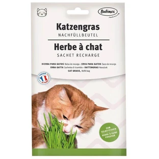 Bubimex (Бубімекс) Cat Grass - Трава в вигляді насіння для котів; 100 г
