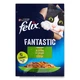 Felix