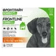 Frontline Combo (Фронтлайн Комбо) by Boehringer Ingelheim - Протипаразитарні краплі від бліх і кліщів для собак (1 піпетка); 2-10 кг New!