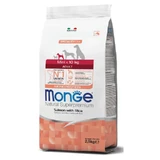 Monge Monoprotein Mini Adult Salmon with Rice - Сухий монопротеїновий корм із лососем та рисом для дорослих собак маленьких порід; 2,5 кг
