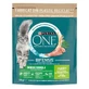 Purina ONE (Пурина Ван) Indoor Formula – Сухой корм с индейкой для кошек, постоянно живущих в помещении; 800 г