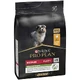 Purina
