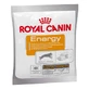 Royal Canin (Роял Канин) Energy - Лакомая добавка для активных собак; 50 г