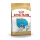 Royal Canin French Bulldog Puppy - Сухой корм для щенков Французского Бульдога; 1 кг
