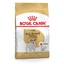 Royal Canin Jack Russell Adult - Сухий корм для собак породи Джек-Рассел тер'єр; 1,5 кг