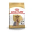 Royal Canin Yorkshire Terrier Adult - Сухой корм для взрослых собак породы Йоркширский Терьер; 500 г
