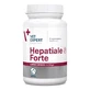 VetExpert (ВетЕксперт) Hepatiale Forte Large Breed - Харчова добавка для підтримки функцій печінки у собак великих порід; 40 шт./уп