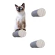 All For Paws