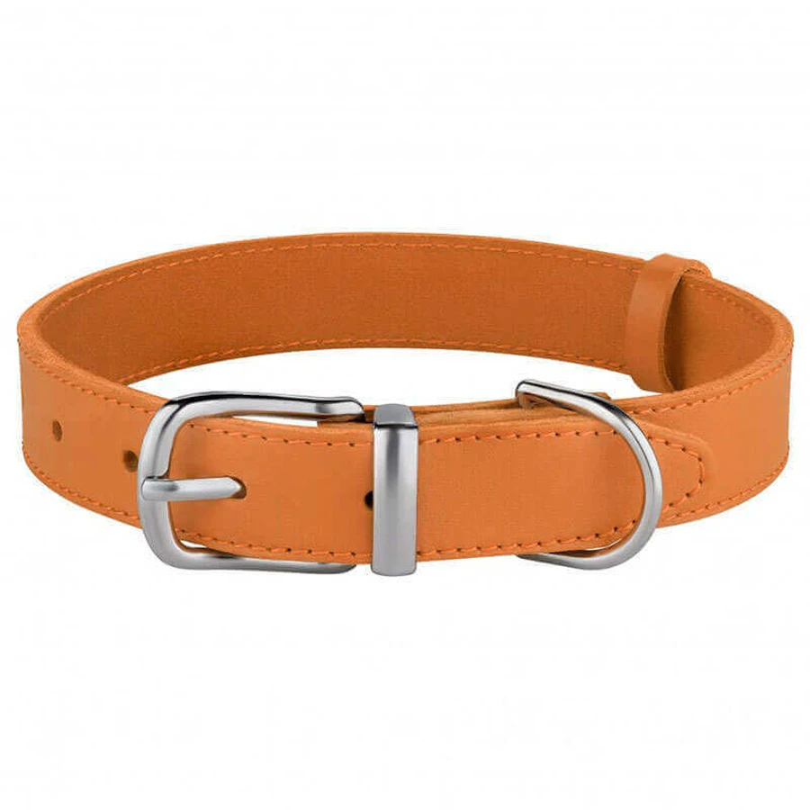 Bronzedog (Бронздог) Classic - Нашийник шкіряний для собак (хром); 1,0х18-25 см (Гірчичний): ціни та характеристики