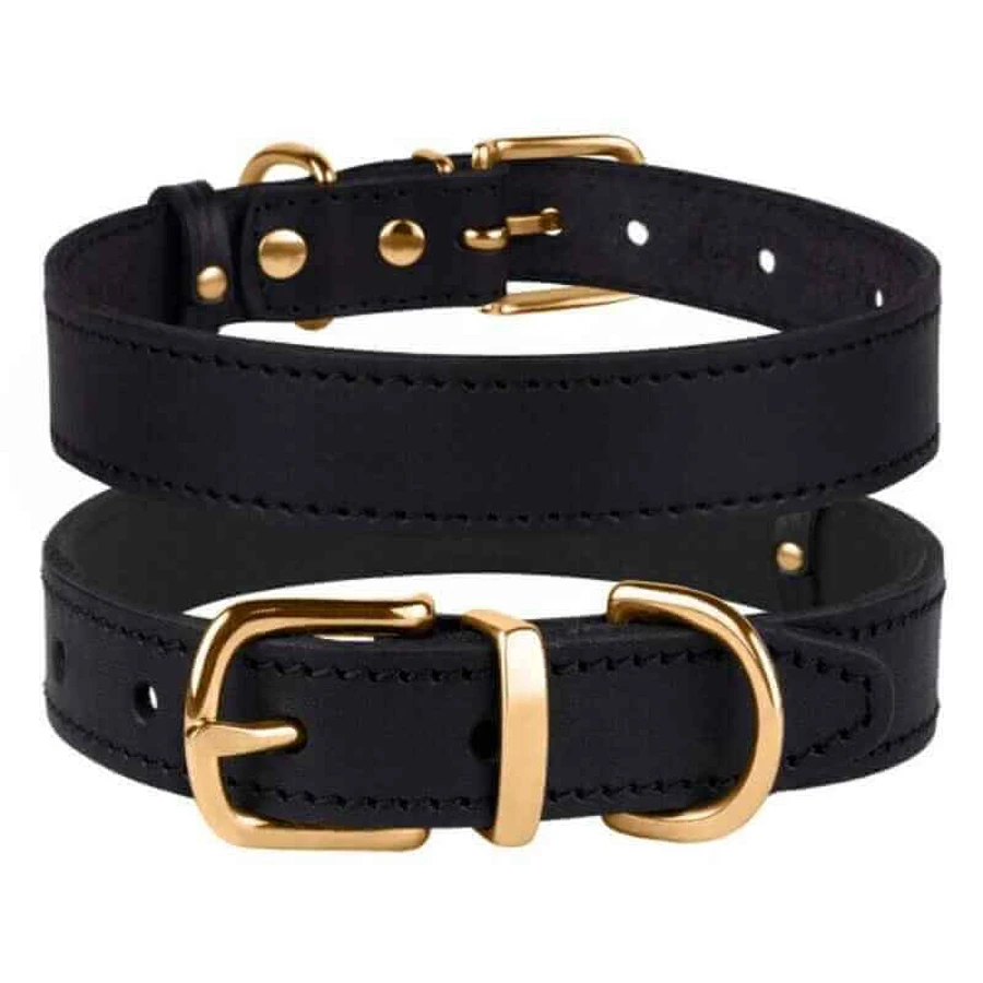 Bronzedog (Бронздог) Dog Collar Classic - Нашийник для собак шкіряний з литою латунною фурнітурою; 3,0х43-56 см (Чорний): ціни та характеристики
