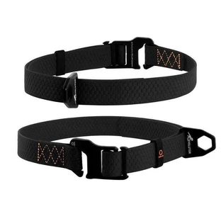 Collar (Коллар) EVOLUTOR - Ошейник Эволютор для собак средних, крупных и очень крупных пород; ONE SIZE (Черный)
