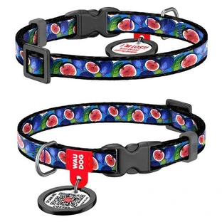 Collar (Коллар) WAUDOG Nylon - Нашийник для котів та собак дрібних порід з малюнком «Інжир», QR паспортом і пластиковою пряжкою-фастекс, нейлоновий; 1х20-30 см