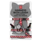 Collar (Коллар) WAUDOG Nylon - Шлея для котов и собак мелких пород с рисунком "Бананы на розовом", поводком, QR паспортом и пластиковой пряжкой-фастекс; 1,0х25-40/20-30 см/122 см