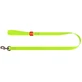 Collar (Коллар) WAUDOG Waterproof - Водостійкий повідець для собак; 2х183 см (Салатовий)