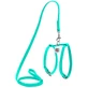 Collar WAUDOG Glamour - Шлея шкіряна з QR паспортом і повідцем для собак; XS/1,2х25-33х35-43 см (Бірюзовий)
